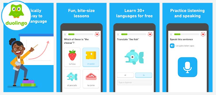 Aplikasi belajar Bahasa Inggris - Duolingo